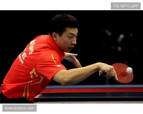 张磊专访:从青涩少年到乒乓球冠军的奋斗与成长之路